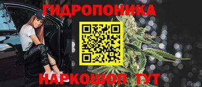 индика Бузулук