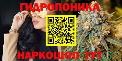 индика Бузулук