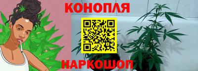 индика Бузулук