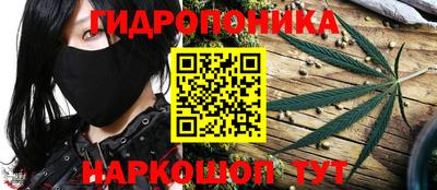 индика Бузулук