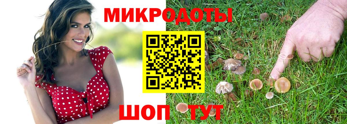Нерюнгри  Псилоцибиновые грибы Psilocybine cubensis  Вход с VPN 