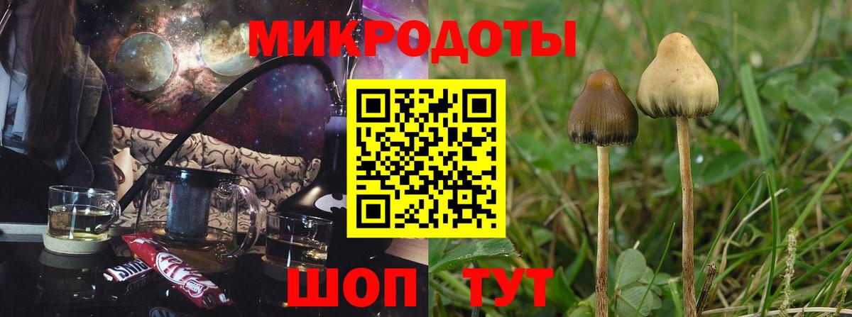 Псилоцибиновые грибы GOLDEN TEACHER Нерюнгри